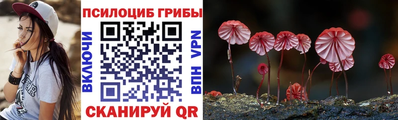 Псилоцибиновые грибы Psilocybine cubensis  Купить где  Ермолино 